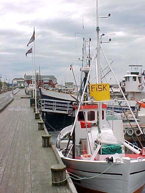 Also Bod� is know for its fishing industry. Fishing boats in the harbour sell their fish to anybody, straight off the ice in the boat.