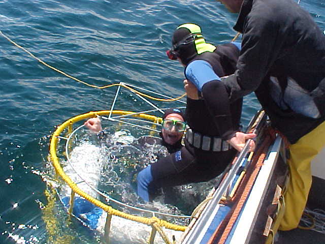 Two of the passengers had their one wetsuits and entered the cage to film underwater.
