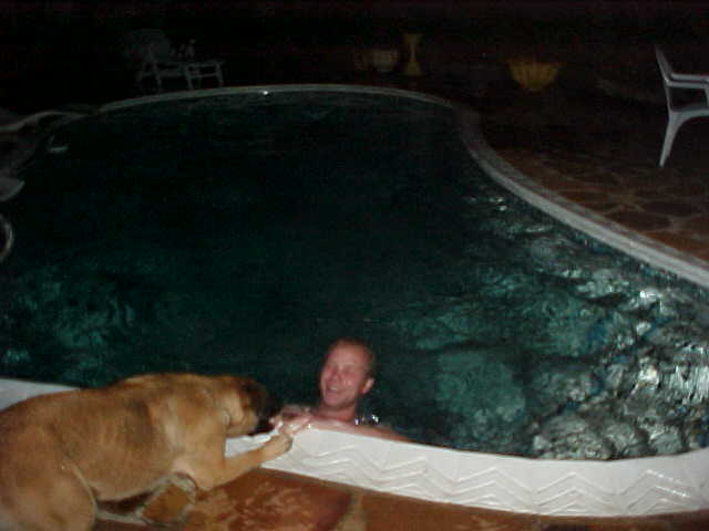 In the late hours of the night I took a nice jump into the pool in the back garden. And dog Shadow loved to run around the pool, trying to get me.