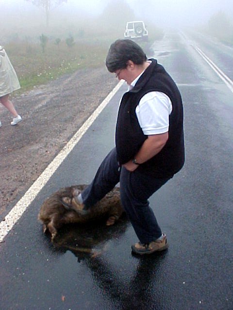Meredith moves the dead cuddle bear off the road.