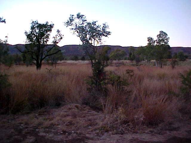 One last look at the scenery at the Bungle Bungles camping spot...