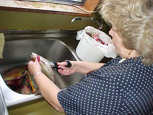 Four beautiful trouts were cleaned at the trout farm kitchen. Self-caught, ready for the barbie!