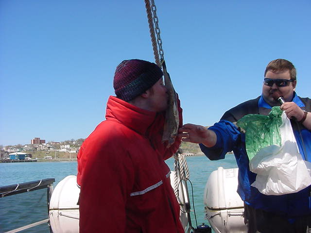... and one of the things to do with the ceremony to become an honourable Newfoundlanders is to kiss this VERY OLD, SALTY and VERY STINKY cod.... Then I had to say the Newfoundland prayer which words I still dont know or could understand...