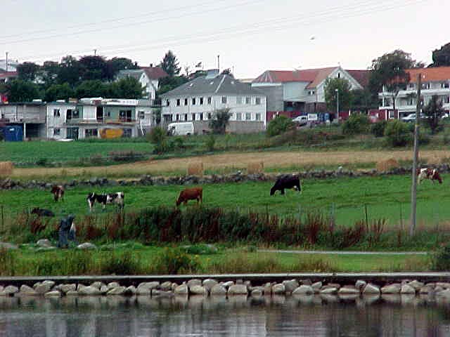 Farmland on the other side of the inlet.