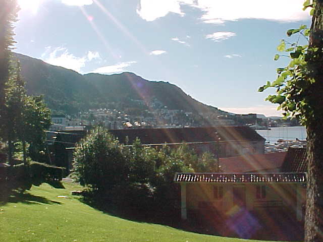 The view on Bergen from the south.